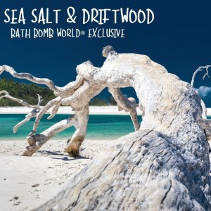 Sea Salt & Driftwood Fragrance Oil BBW® 